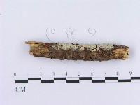 登錄號:F0002997藏品圖，第5張