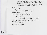 登錄號:F0002998藏品圖，第2張