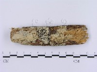 登錄號:F0002998藏品圖，第1張