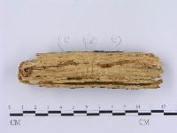 登錄號:F0002998藏品圖，第4張