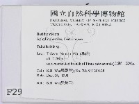 登錄號:F0002999藏品圖，第2張