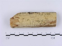 登錄號:F0002999藏品圖，第1張