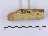 登錄號:F0002999藏品圖，第3張