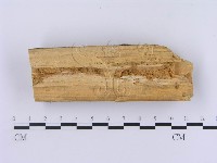 登錄號:F0002999藏品圖，第5張