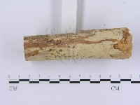 登錄號:F0002999藏品圖，第6張