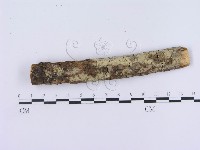 登錄號:F0003000藏品圖，第3張