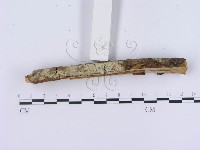 登錄號:F0003000藏品圖，第4張