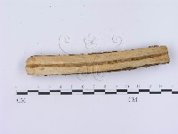 登錄號:F0003000藏品圖，第5張