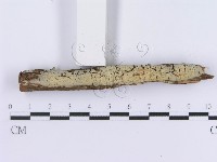 登錄號:F0003001藏品圖，第3張