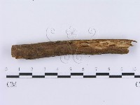 登錄號:F0003001藏品圖，第4張