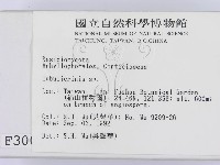 登錄號:F0003002藏品圖，第2張