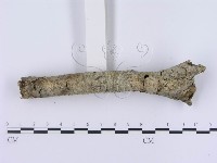 登錄號:F0003002藏品圖，第3張