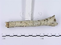 登錄號:F0003002藏品圖，第5張