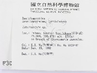 登錄號:F0003003藏品圖，第2張