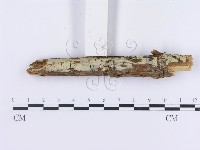 登錄號:F0003003藏品圖，第4張