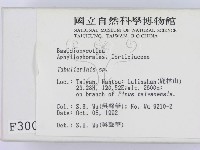 登錄號:F0003004藏品圖，第2張