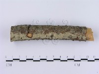 登錄號:F0003004藏品圖，第4張