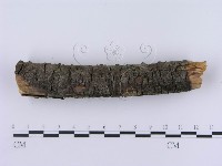 登錄號:F0003004藏品圖，第6張