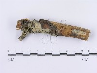 登錄號:F0003005藏品圖，第1張