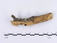 登錄號:F0003005藏品圖，第4張