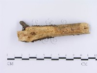 登錄號:F0003005藏品圖，第5張