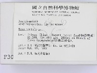 登錄號:F0003006藏品圖，第2張