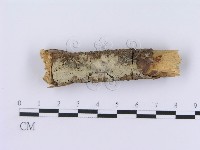 登錄號:F0003006藏品圖，第1張