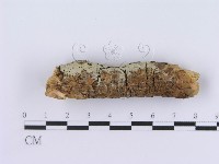 登錄號:F0003006藏品圖，第4張