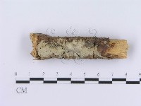 登錄號:F0003006藏品圖，第5張