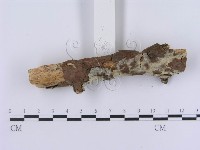 登錄號:F0003007藏品圖，第3張