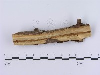 登錄號:F0003007藏品圖，第4張