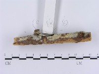 登錄號:F0003007藏品圖，第5張