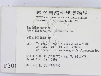 登錄號:F0003008藏品圖，第2張