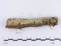 登錄號:F0003008藏品圖，第1張