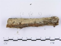 登錄號:F0003008藏品圖，第6張