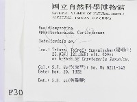 登錄號:F0003009藏品圖，第2張