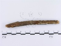 登錄號:F0003009藏品圖，第3張