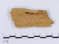 登錄號:F0003010藏品圖，第3張