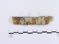 登錄號:F0003011藏品圖，第1張