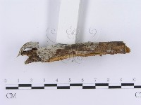 登錄號:F0003012藏品圖，第4張