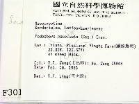 登錄號:F0003013藏品圖，第2張