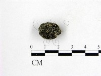 登錄號:F0003013藏品圖，第1張