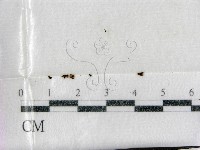 登錄號:F0003016藏品圖，第1張