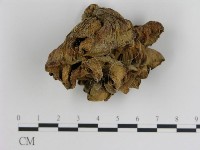 登錄號:F0003017藏品圖，第1張