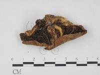 登錄號:F0003018藏品圖，第3張