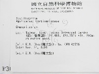 登錄號:F0003020藏品圖，第2張