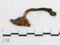 登錄號:F0003020藏品圖，第1張