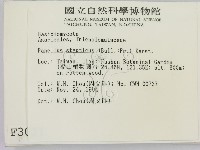 登錄號:F0003021藏品圖，第2張