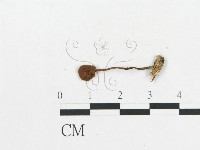 登錄號:F0003024藏品圖，第3張