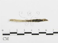 登錄號:F0003025藏品圖，第3張